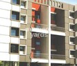 Shree Royal Solus