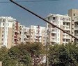 Shreeyash Shree Woods