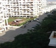 Siddhivinayak Ginger