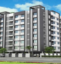 Silver Orchid Silver Orchid