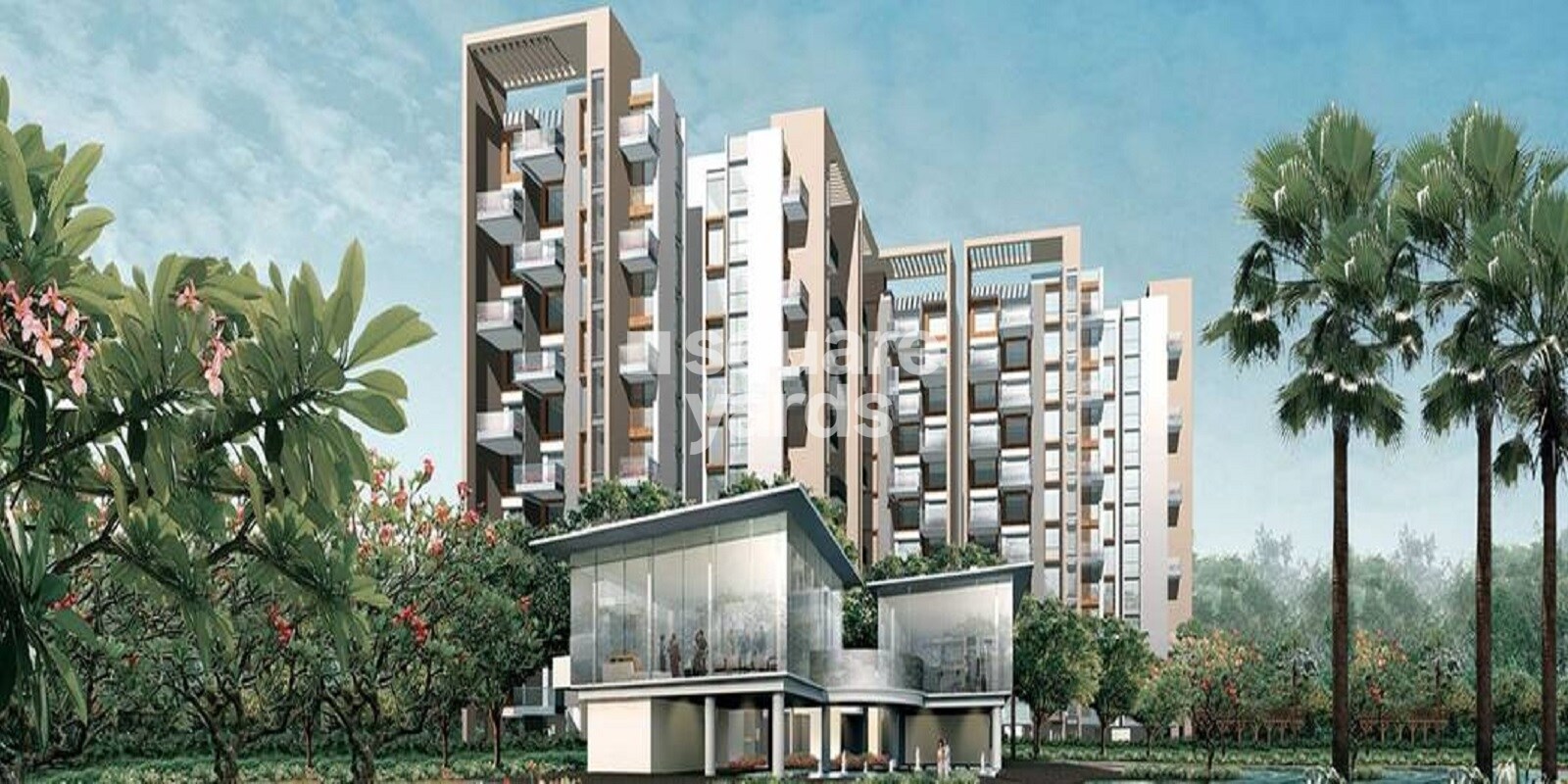 Skyi Iris Cover Image