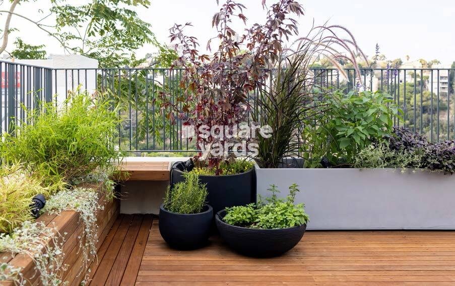 Skyi Iris Racecourse