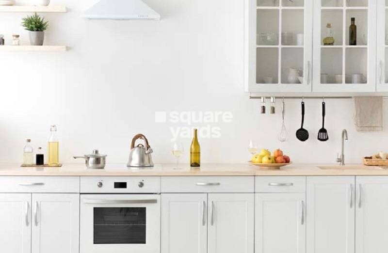 Skyi Iris Racecourse