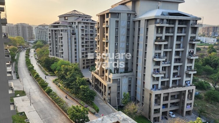 Skyi Songbirds Tower View 7