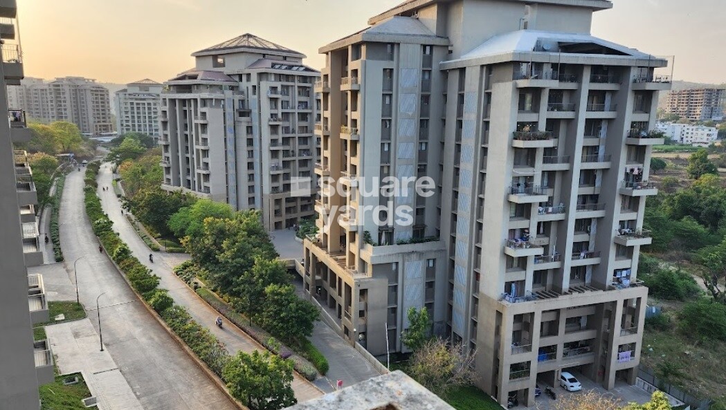 Skyi Songbirds Tower View 7