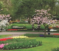 Somani Dream Home Amenities-Features