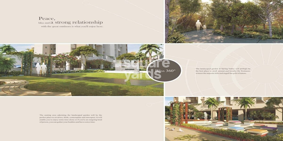 Spring Valley Greens Image