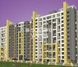 Sukhwani Dynasty
