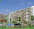 Sukhwani Elmwood