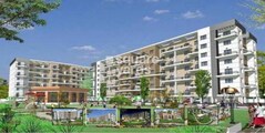 Sukhwani Elmwood