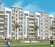 Sukhwani Pearl