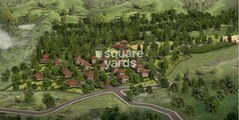 Synergy Farms Casuarina