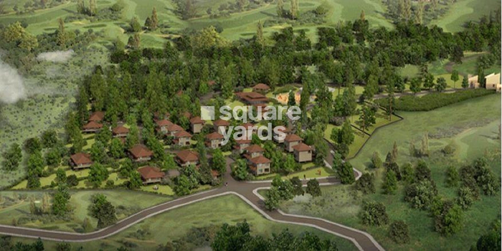 Synergy Farms Casuarina