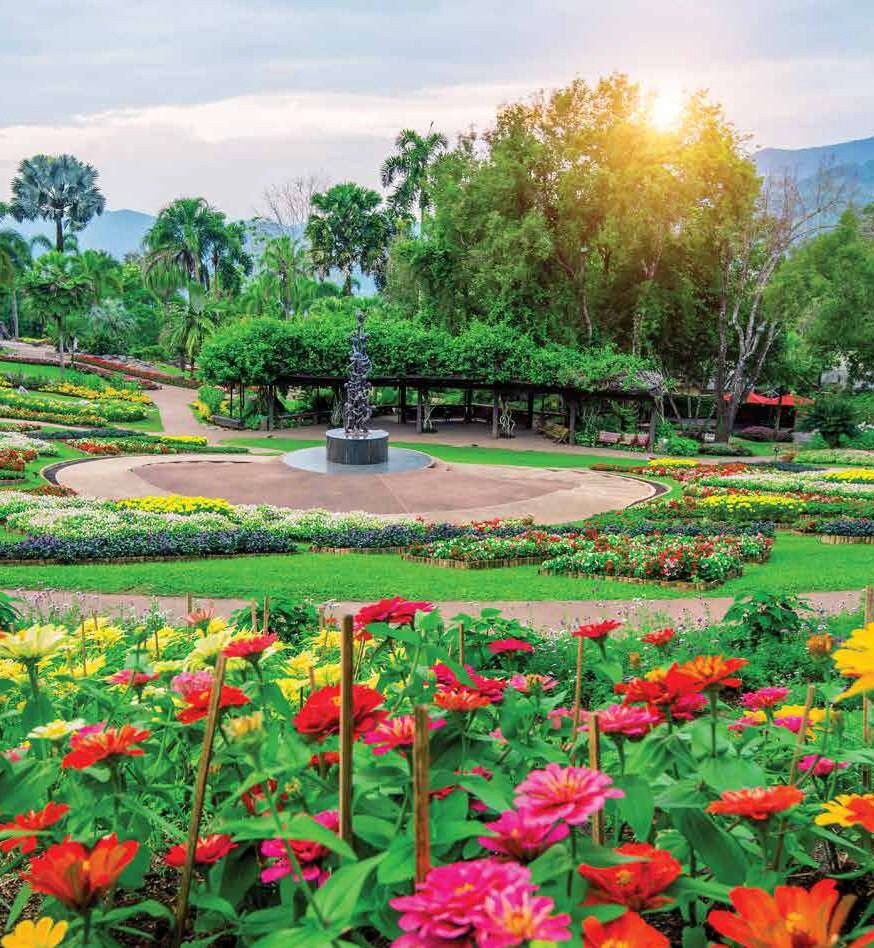 Synergy Satvam Hills