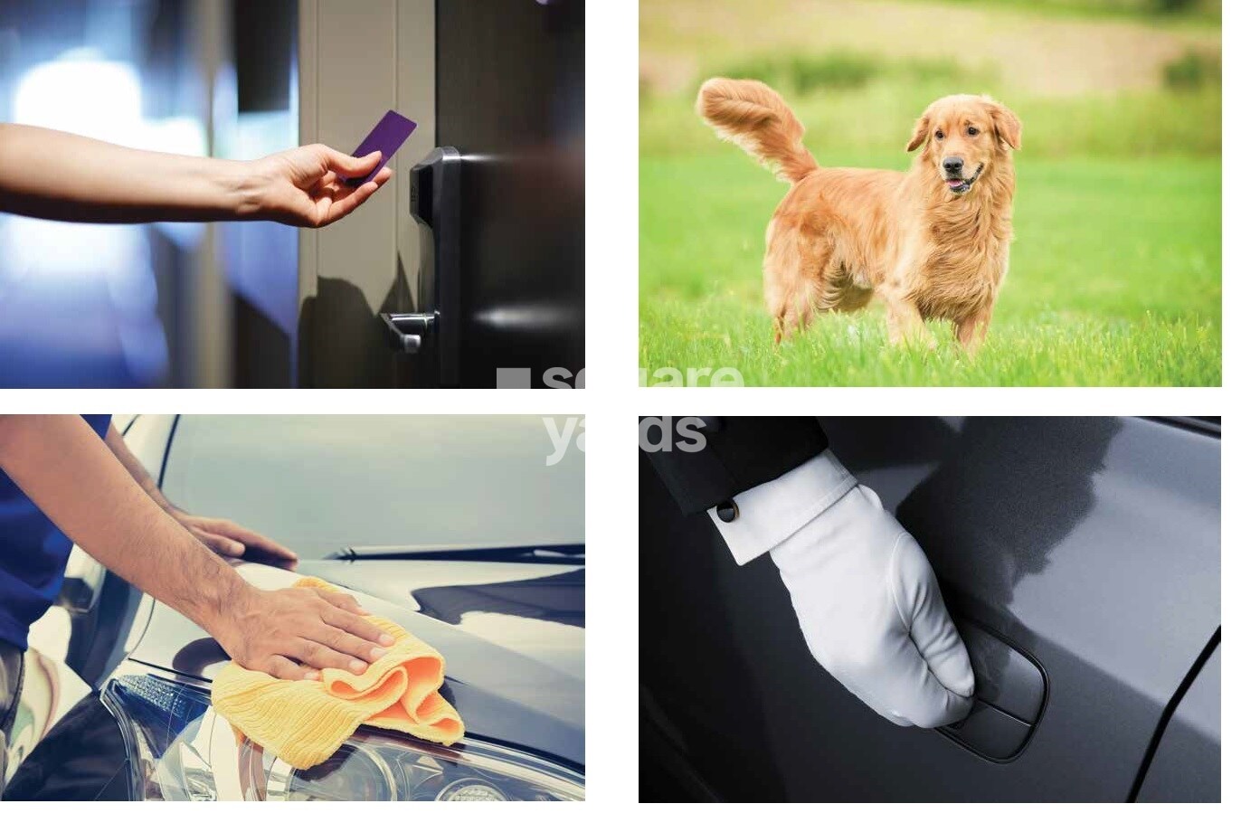 The Luxe Towers Amenities-Features 1