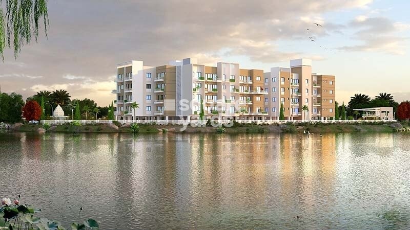 The Pristine Horizon Village Residency 2