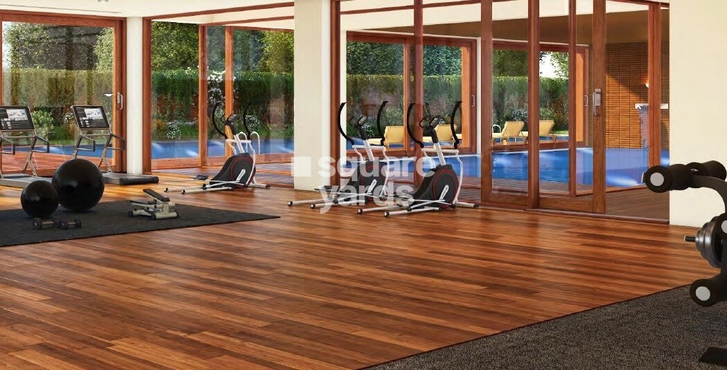 Total Environment Songs From The Wood Amenities-Features