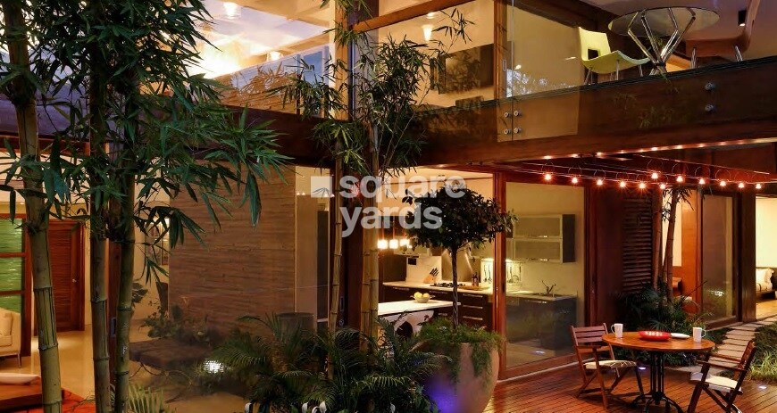 Total Environment Songs From The Wood