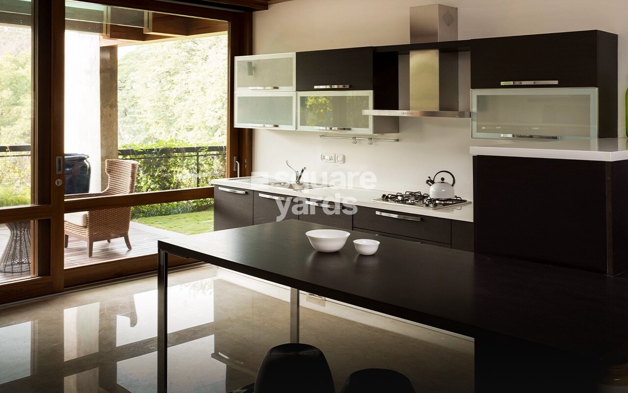 Total Environment Songs From The Wood