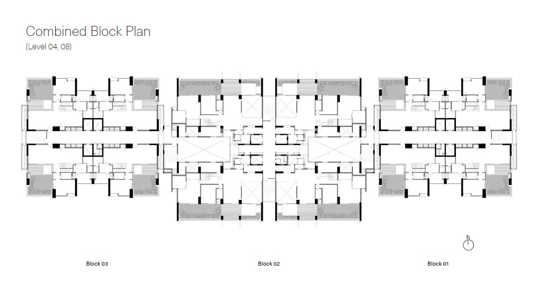 Total Environment Songs From The Wood
