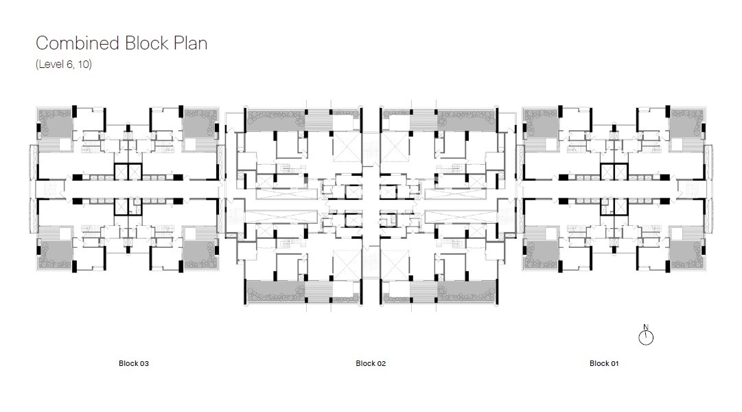 Total Environment Songs From The Wood
