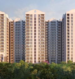 Triaa One Aretha Triaa One Aretha