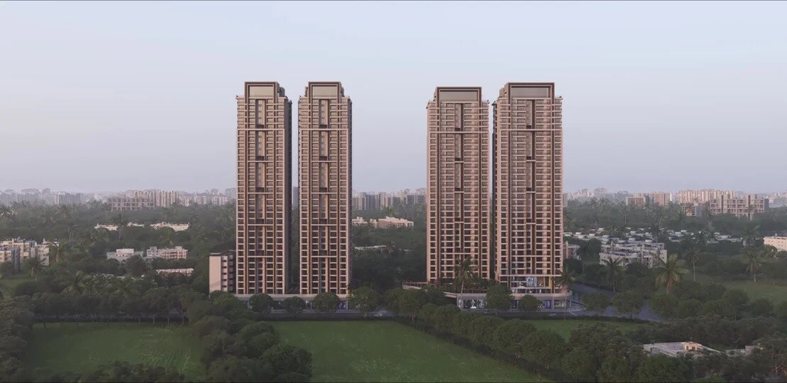 Tulip Infinity Avana