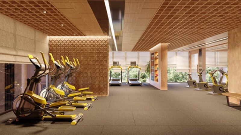 Tulip Infinity Avana