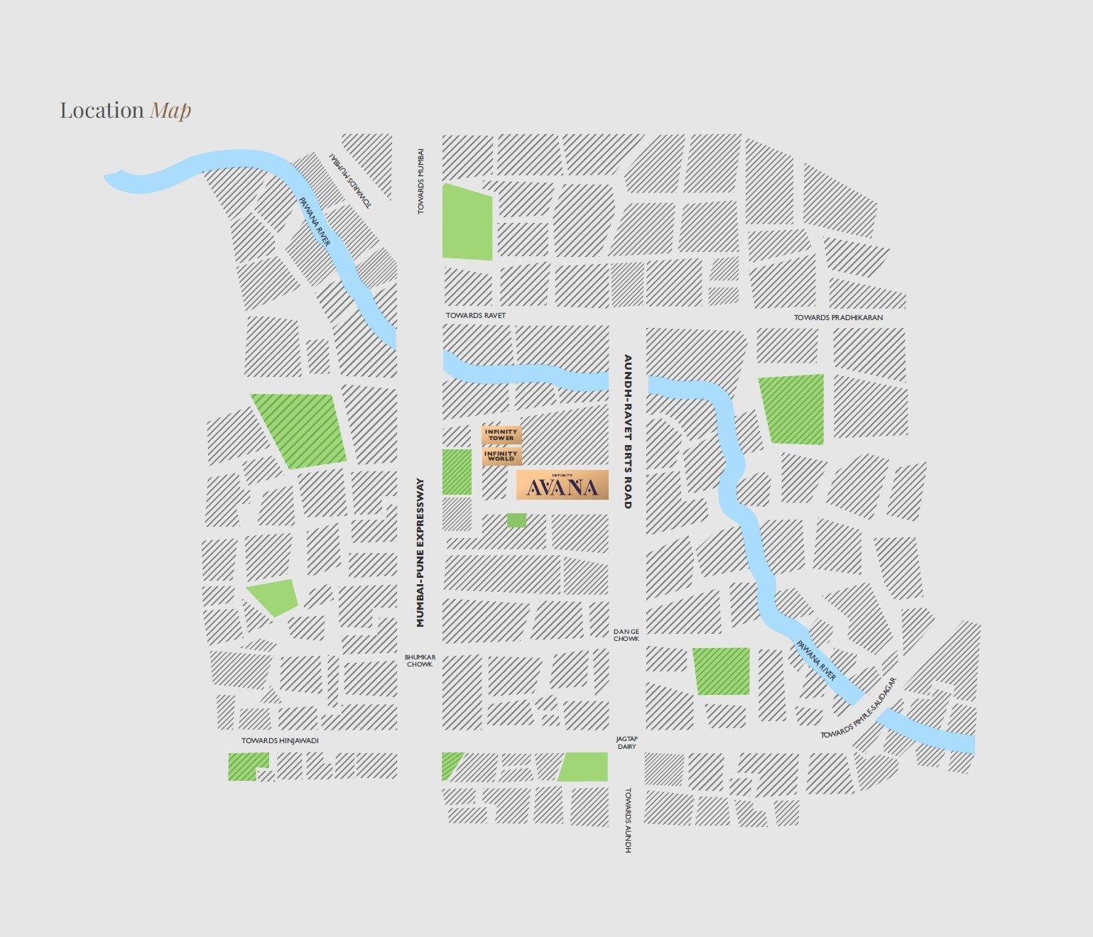 Tulip Infinity Avana