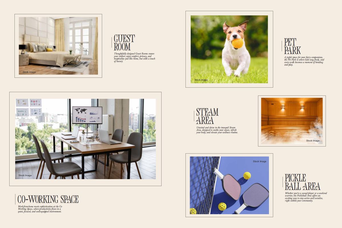 Tulip Infinity Evana