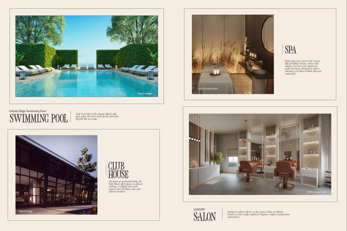 Tulip Infinity Evana