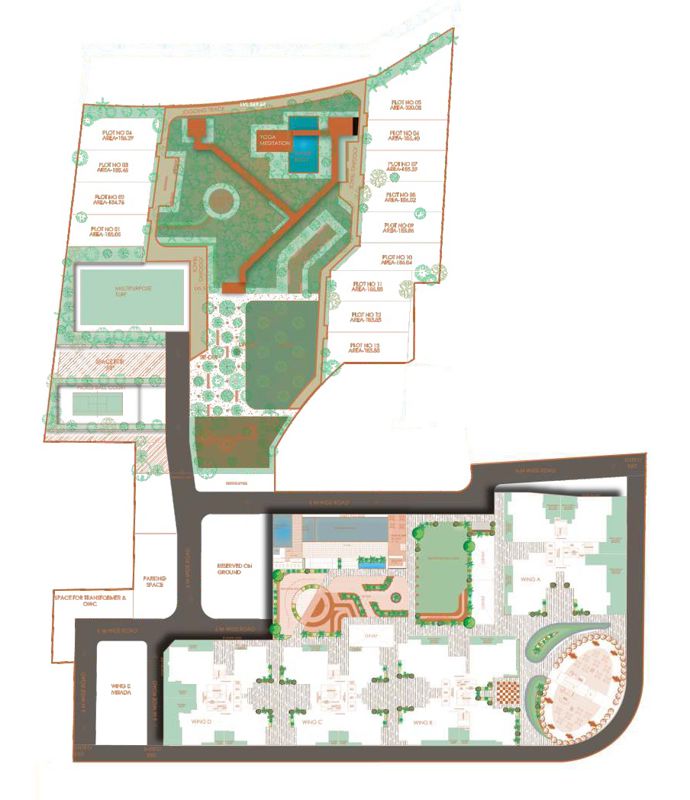 Tulip Infinity Evana