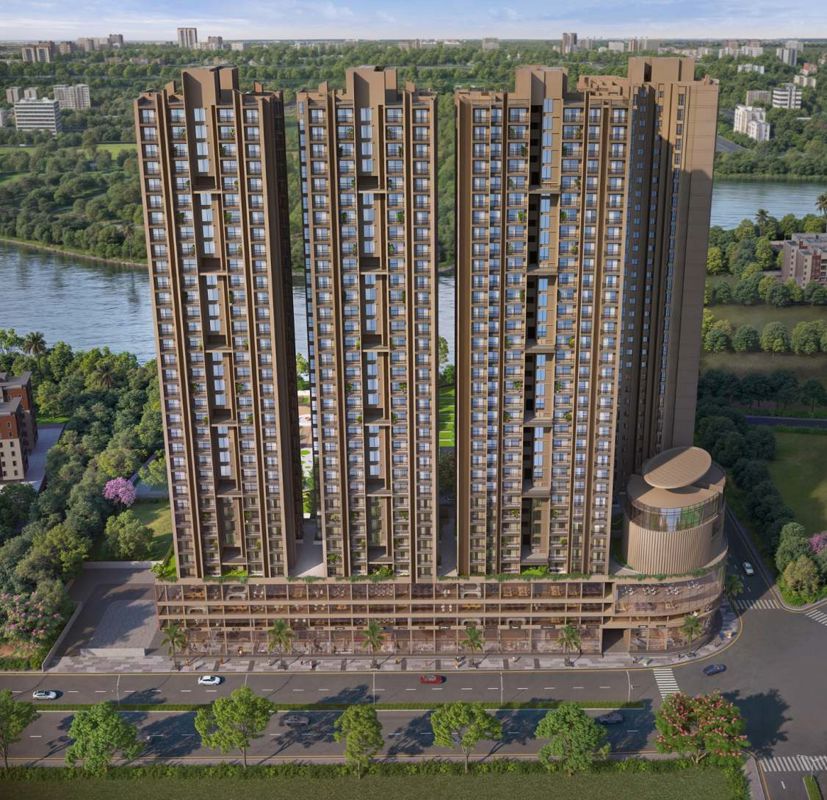 Tulip Infinity Evana