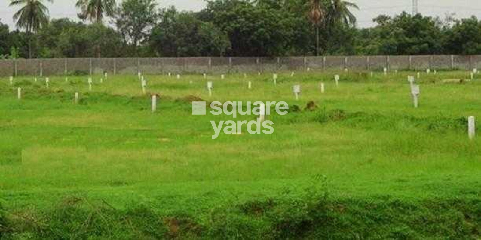 Umbrella Sapphire residential project in Hinjewadi