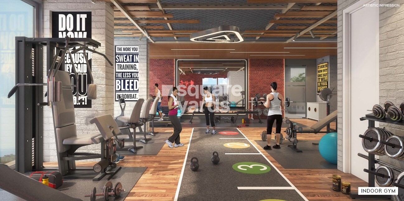 Unique Legacy Imperia Gymnasium Image