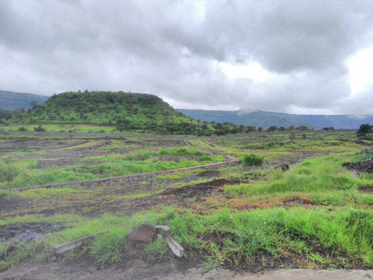 Universal Goldfields