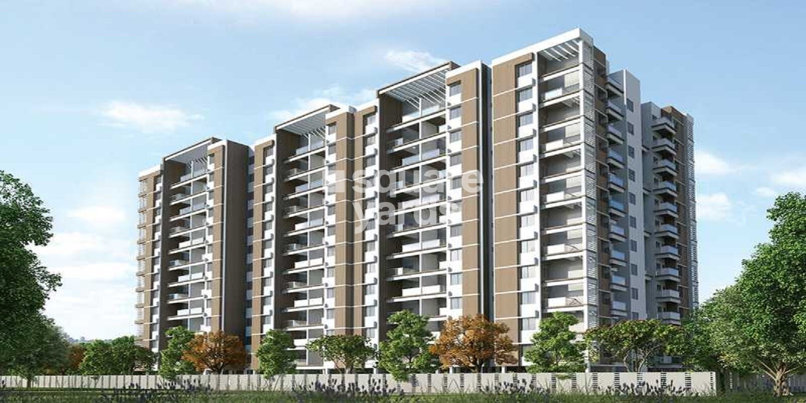 v-satav-mayuri-sunrise