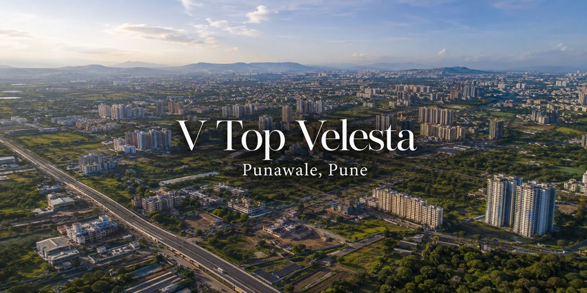 V Top Velesta