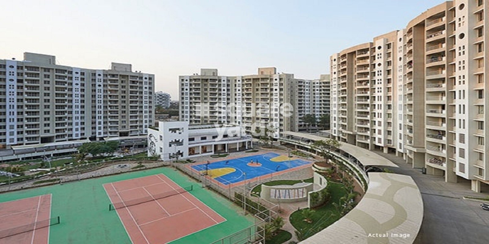 Vascon Forest County 2