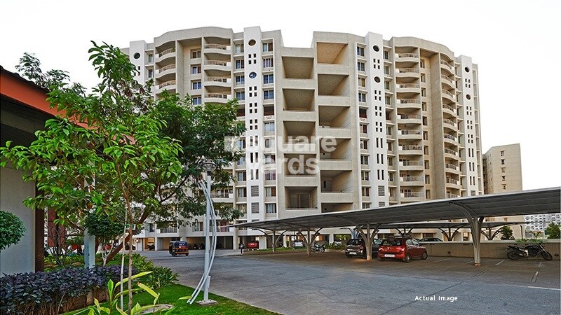 Vascon Forest County