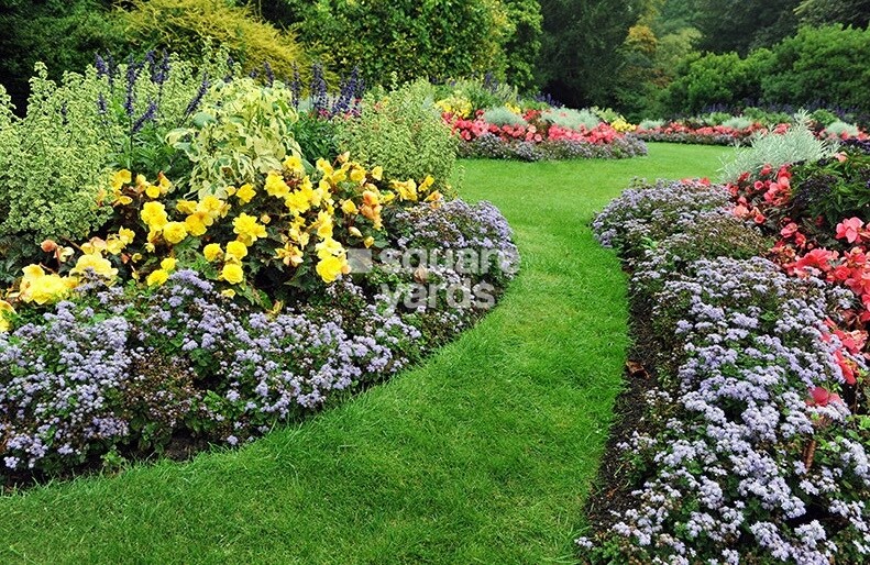 Vascon Xotech Homes phase 2 Amenities-Features 1