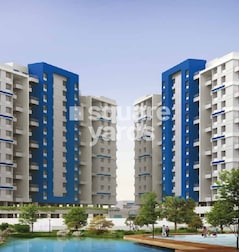 Vastushodh Cavansite Vastushodh Cavansite
