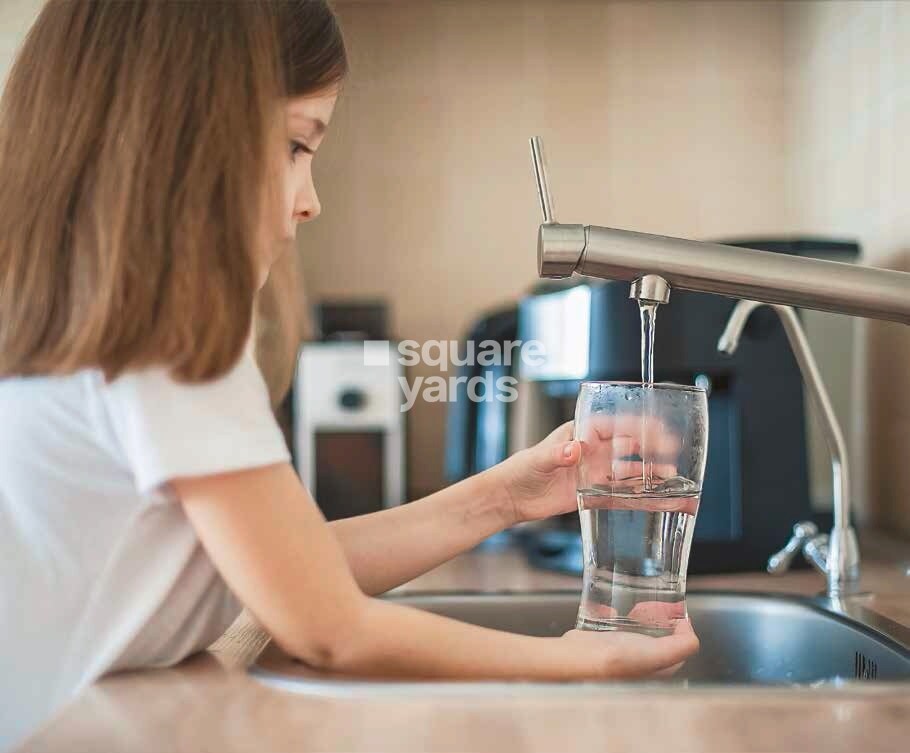 Vasupujya Neco Beaumont