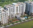 Venkatesh Oxy Evolve