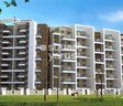Venkatesh Paradise