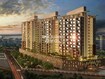 Vertical Alcinia Tower View