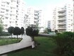 Vilas Javdekar Palash 2e Tower View