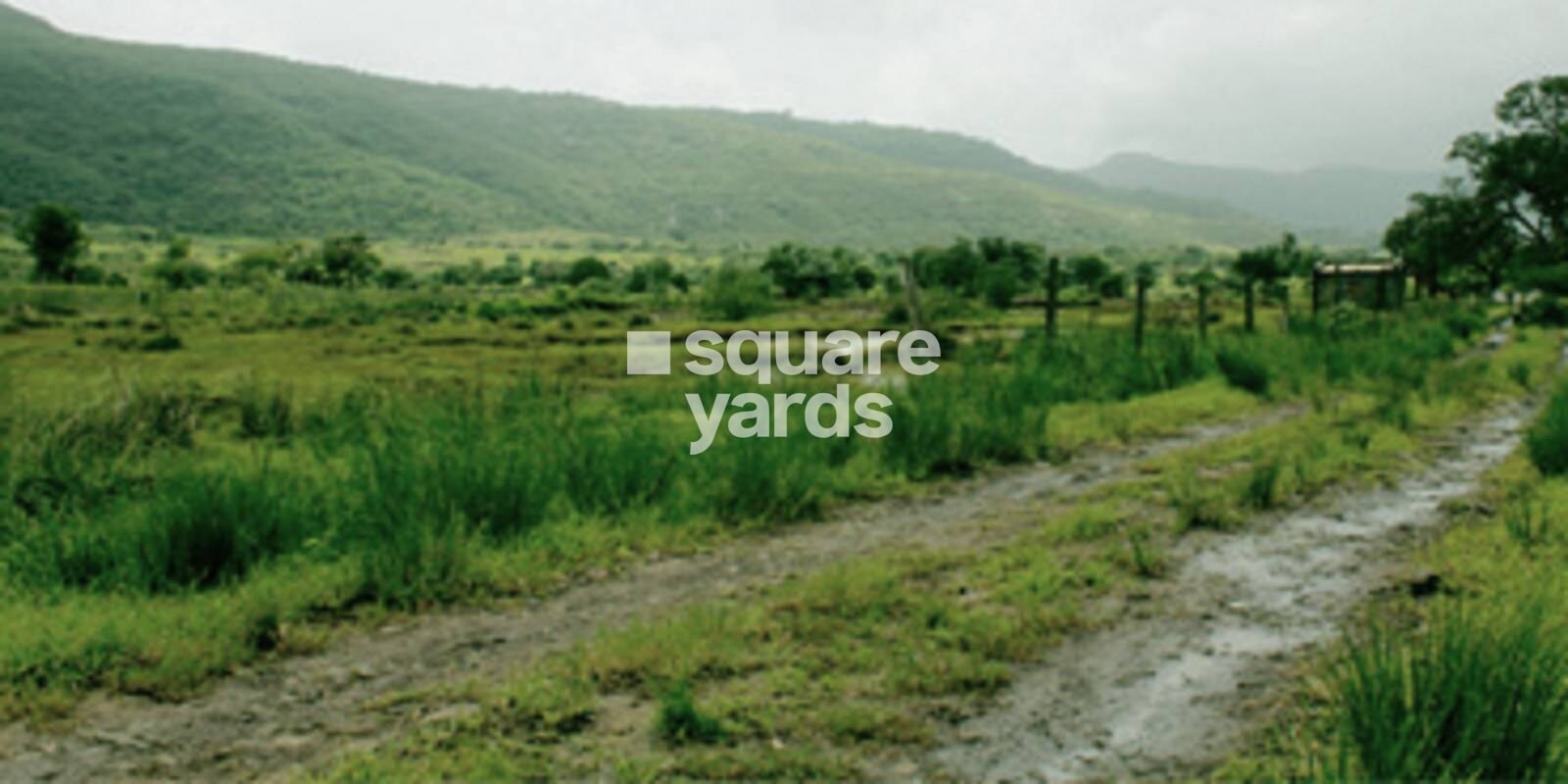 Vinod Vista Green Featured Image