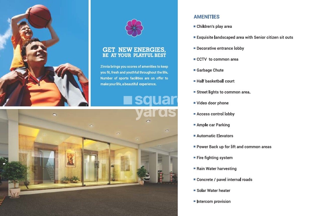 Vinode Zinnia Elegans