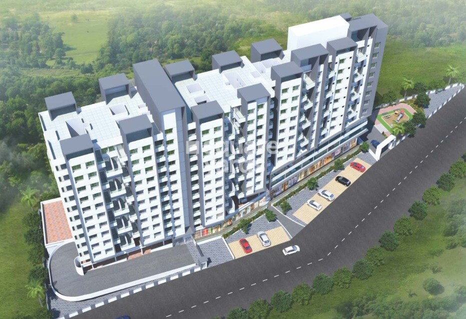 Vinode Zinnia Elegans